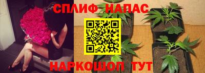 прущие крисы Ставрополь