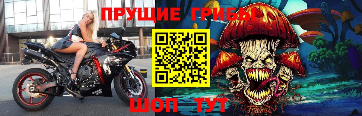Галлюциногенные грибы мицелий Нерюнгри
