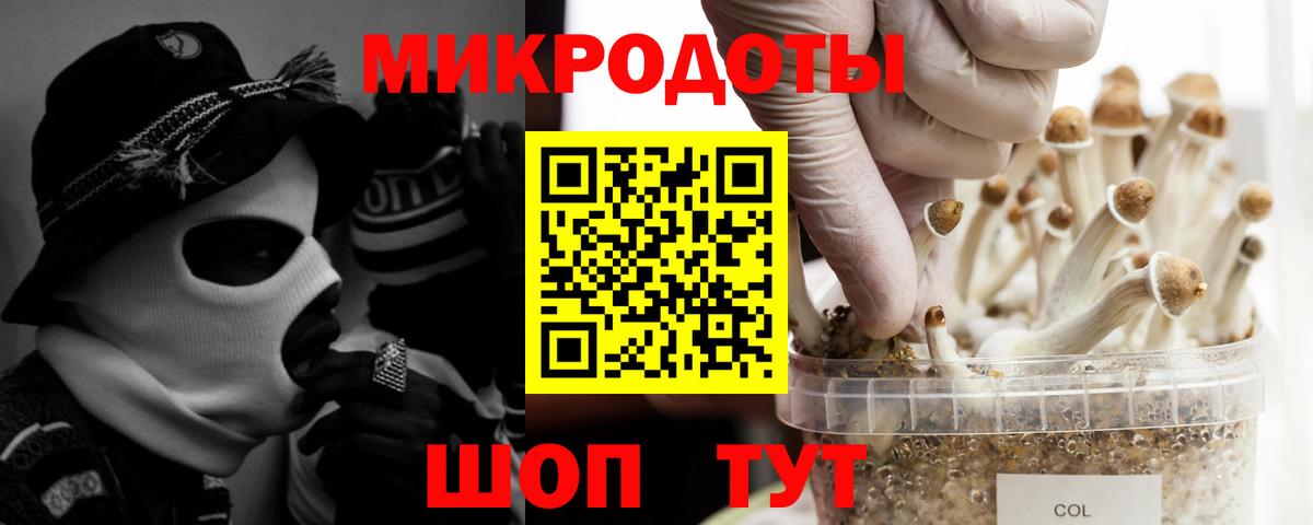 Псилоцибиновые грибы Psilocybine cubensis  Галлюциногенные грибы MAGIC MUSHROOMS  Вход с VPN  Нерюнгри 
